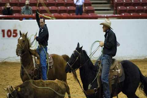 Discounts for Students Attending the Rodeo and Car Show in Bossier City, Louisiana