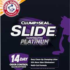 Arm & Hammer Platinum SLIDE Review: Magic Clumping Litter!