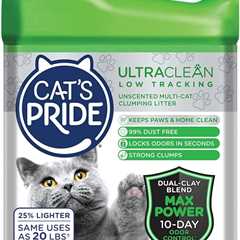 Cat’s Pride Max Power: A Clean Paws Review