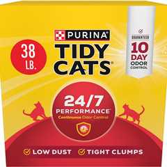 Purina Tidy Cats Review: 24/7 Performance Magic!