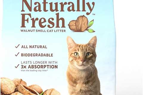 Naturally Fresh Cat Litter Review: No More Dust!