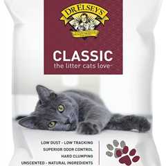 Dr. Elsey’s Premium Litter Review: A Cat’s Dream