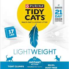 Purina Tidy Cats: A Lightweight Contender Review