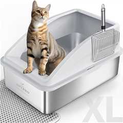 Stainless Steel Litter Box Review: The Ultimate Cat Hideaway
