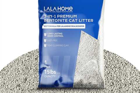 Clumping Cat Litter Review: A Dust-Free Delight!