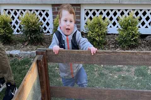 The Community's Efforts for Animal Welfare in Calvert County, MD