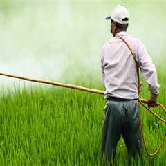 The Impact of Pesticides and Herbicides on Nature Preservation in Central Oregon