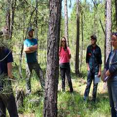 Engaging with Nature: Community Efforts in Nature Preservation in Central Oregon