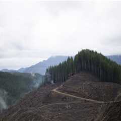 The Impact of the Logging Industry on Nature Preservation in Central Oregon
