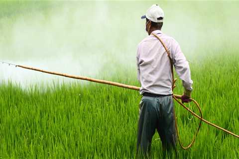 The Impact of Pesticides and Herbicides on Nature Preservation in Central Oregon