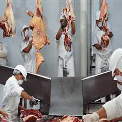 Ensuring Food Safety in Livestock Products: Best Practices for Effective Management