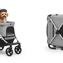 3 Advantages of Folding Dog Strollers for Travel