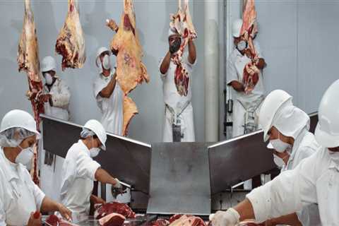 Ensuring Food Safety in Livestock Products: Best Practices for Effective Management
