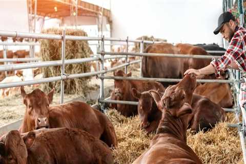 Effective Strategies for Managing the Growth and Development of Young Livestock